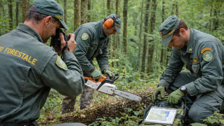Operatori del Corpo Forestale e di Vigilanza Ambientale impegnati in attività di sorveglianza e prevenzione incendi nel bosco, fotografia professionale, 1200 px orizzontale.